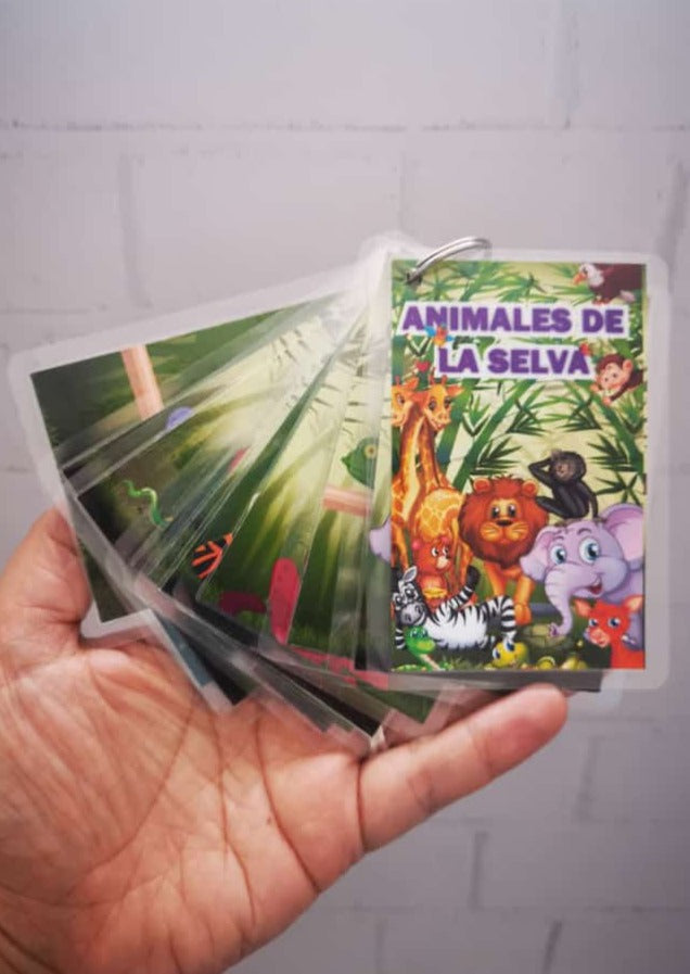 Llaveros Escolares