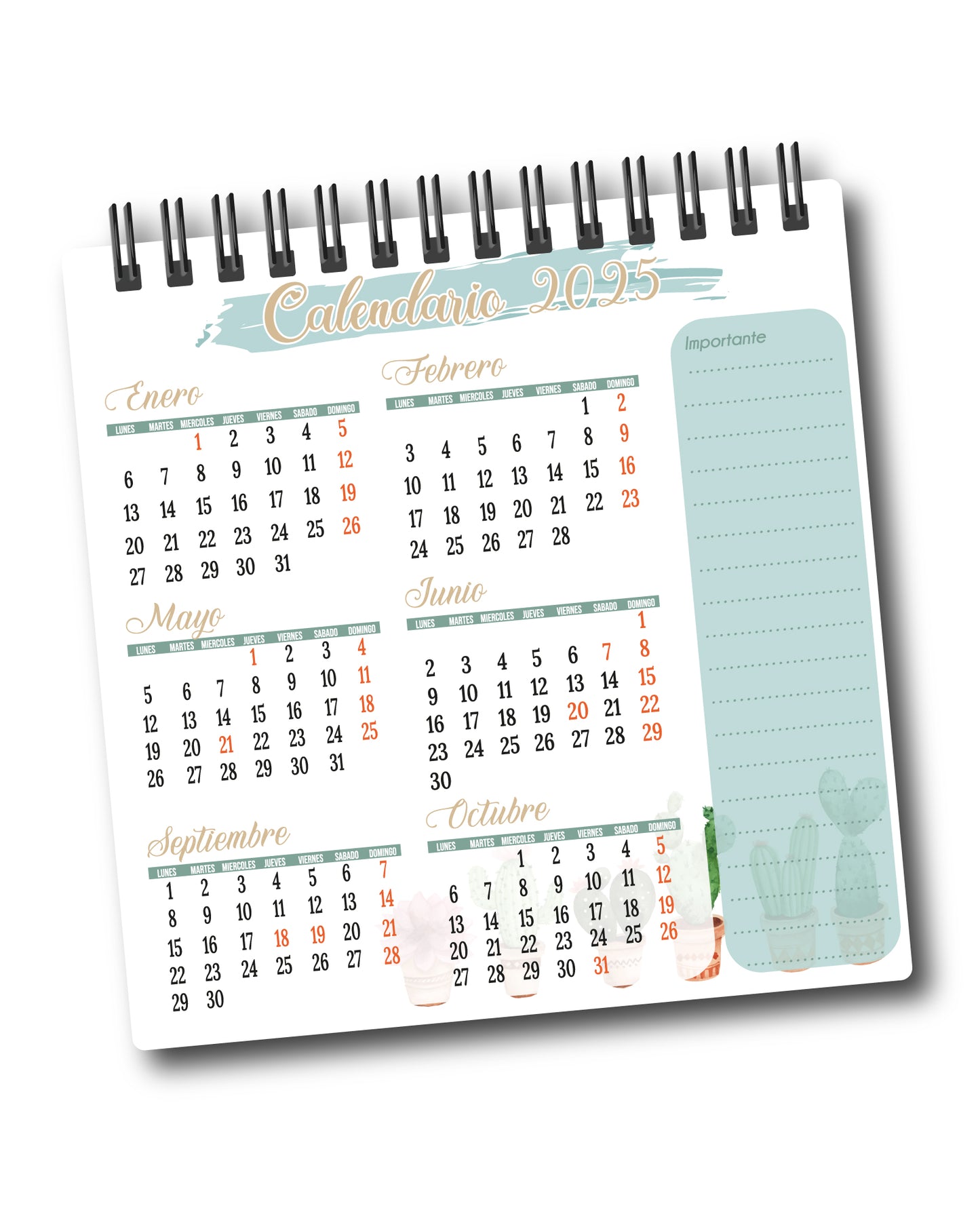 Planner mis gastos