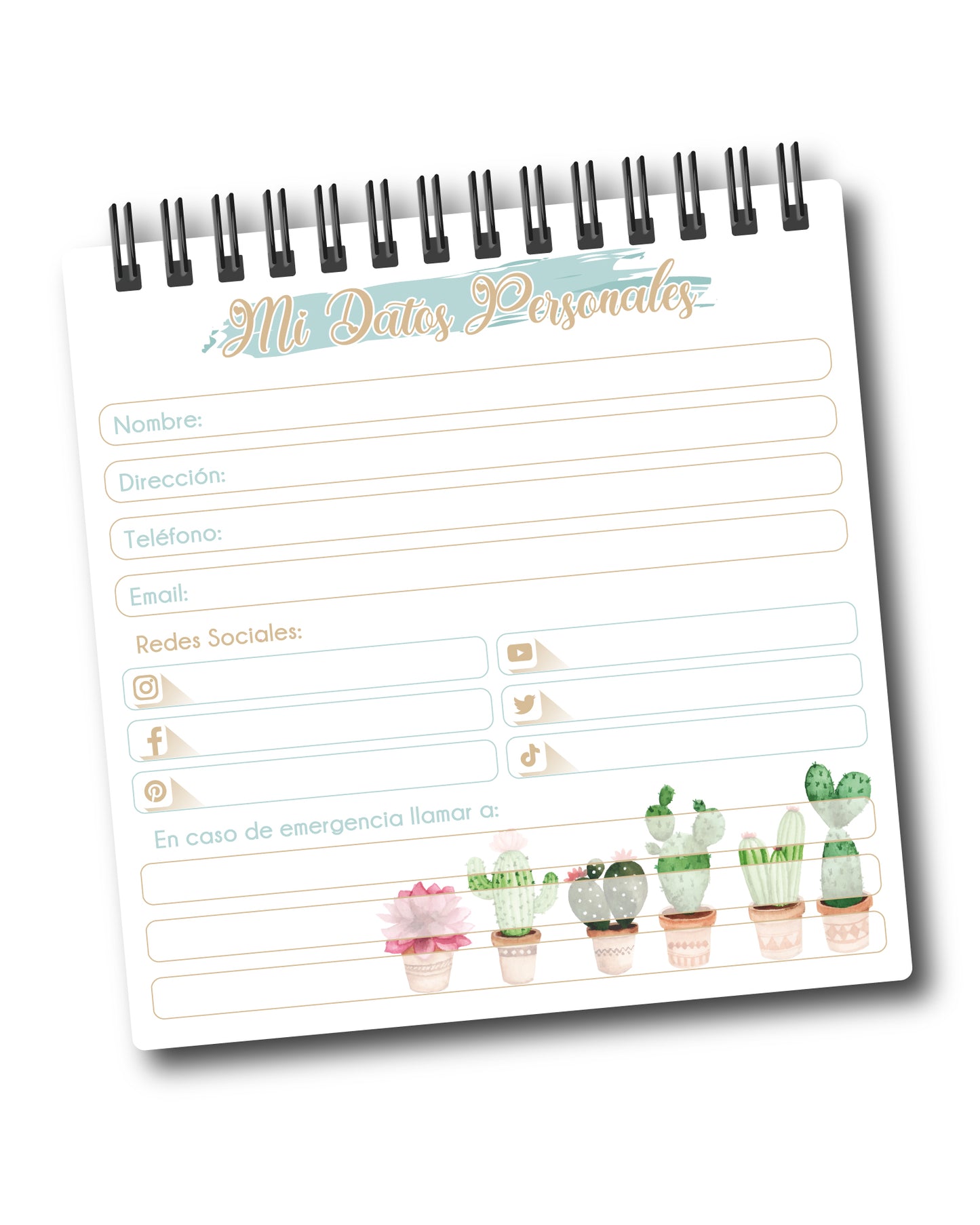 Planner mis gastos