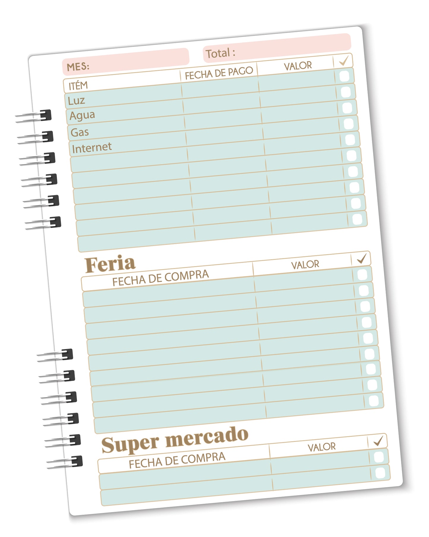 Planner Las cuentas de la casa