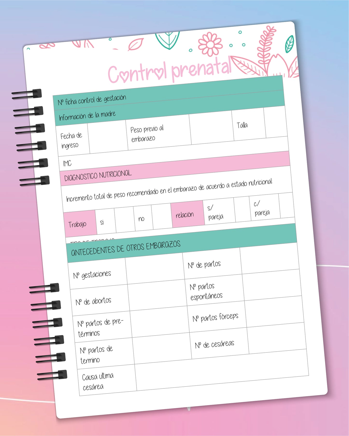 Control prenatal